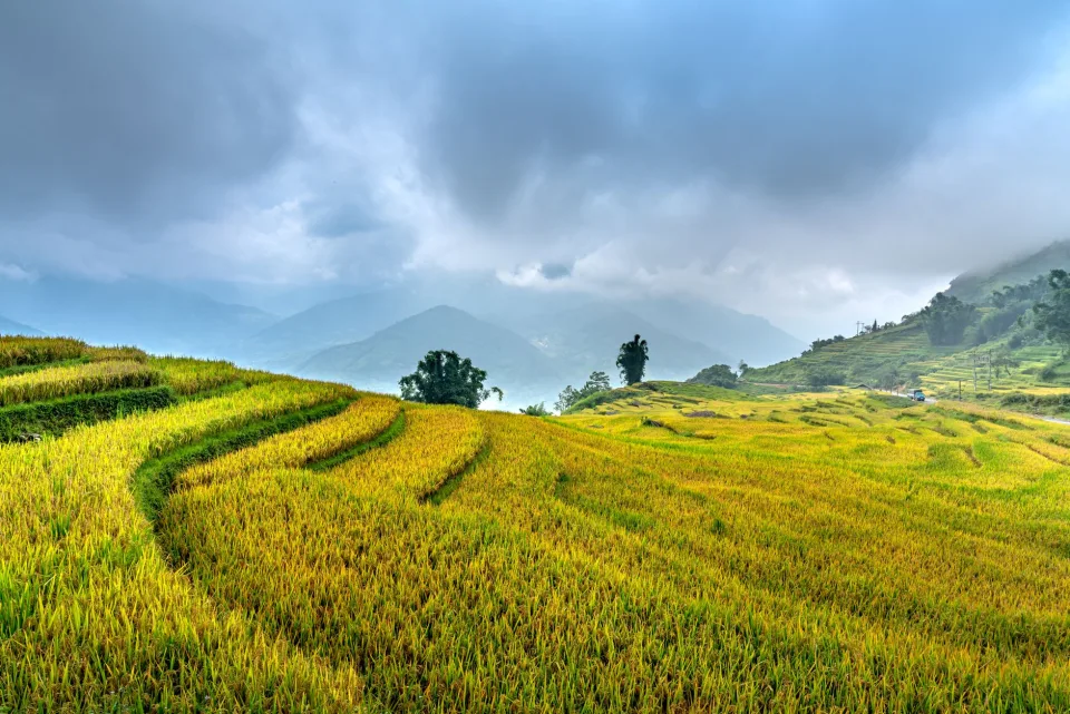 Kho gạo của Nước Mắm Truyền Thống Tam Thanh